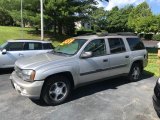 Sandstone Metallic Chevrolet TrailBlazer in 2005