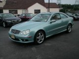 2004 Ice Blue Metallic Mercedes-Benz CLK 500 Coupe #13353308