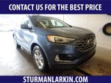 2019 Blue Metallic Ford Edge SEL AWD #133991566