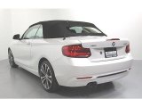 Mineral White Metallic BMW 2 Series in 2019