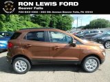 2019 Ford EcoSport SE 4WD