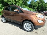 2019 Ford EcoSport SE 4WD Front 3/4 View