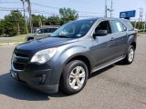 2010 Cyber Gray Metallic Chevrolet Equinox LS #134072528