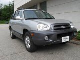 2006 Pewter Hyundai Santa Fe GLS #13372176