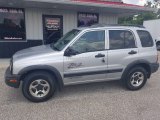 Silverleaf Metallic Chevrolet Tracker in 2003