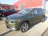 2019 Olive Green Pearl Jeep Cherokee Limited 4x4 #134121375
