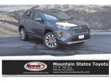 2019 Magnetic Gray Metallic Toyota RAV4 Limited AWD #134139214