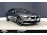 2019 Bluestone Metallic BMW 5 Series 530i Sedan #134160860