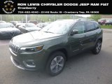 2019 Olive Green Pearl Jeep Cherokee Limited 4x4 #134189081
