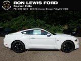 2019 Oxford White Ford Mustang GT Fastback #134209344
