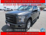 2015 Magnetic Metallic Ford F150 XL SuperCab #134283848