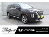 2020 Becketts Black Hyundai Palisade SEL #134304313