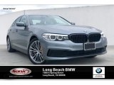 2019 Bluestone Metallic BMW 5 Series 530i Sedan #134359932