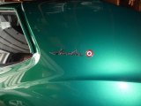 1971 AMC Javelin SST Marks and Logos
