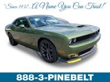 2019 F8 Green Dodge Challenger R/T #134394400