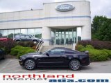 2010 Black Ford Mustang GT Coupe #13425061
