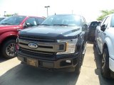 2019 Agate Black Ford F150 XLT SuperCrew 4x4 #134442678