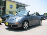 2006 Platinum Grey Volkswagen New Beetle 2.5 Convertible #13441235