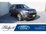 Magnetic Ford Explorer in 2019