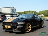 2019 Shadow Black Ford Mustang Shelby GT-H Coupe #134520342