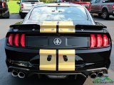 2019 Ford Mustang Shelby GT-H Coupe Marks and Logos