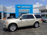 White Gold Ford Expedition in 2017