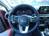2019 Kia Forte EX Steering Wheel