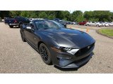 2019 Magnetic Ford Mustang GT Premium Convertible #134686768