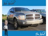 2005 Mineral Gray Metallic Dodge Durango SLT 4x4 #134690816