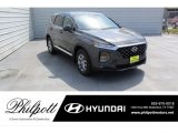 2020 Rainforest Hyundai Santa Fe SEL #134742656