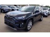 2019 Toyota RAV4 Limited Front 3/4 View