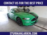 2019 Need For Green Ford Mustang EcoBoost Fastback #134867373