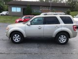 2010 Gold Leaf Metallic Ford Escape Limited V6 4WD #134867566