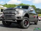 2019 Magnetic Ford F150 Shelby Cobra Edition SuperCrew 4x4 #134889496