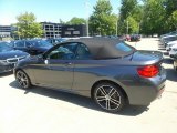 2020 BMW 2 Series 230i xDrive Convertible Exterior