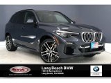 2019 Arctic Grey Metallic BMW X5 xDrive40i #134948748