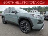 2019 Lunar Rock Toyota RAV4 Adventure AWD #134997684