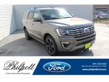 Silver Spruce Metallic Ford Expedition in 2019