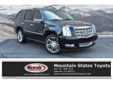 2011 Black Raven Cadillac Escalade Platinum AWD #135117086