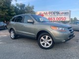 2007 Natural Khaki Green Hyundai Santa Fe Limited 4WD #135117127