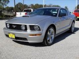 2009 Brilliant Silver Metallic Ford Mustang GT Premium Coupe #1347765