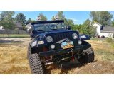 2003 Black Clearcoat Jeep Wrangler Sahara 4x4 #135154381