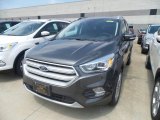 2019 Magnetic Ford Escape Titanium #135223781