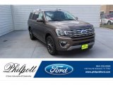 2019 Stone Gray Metallic Ford Expedition Limited #135223625