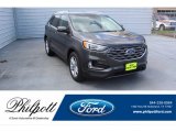 2019 Magnetic Ford Edge SEL #135223622