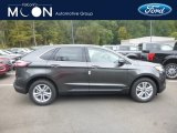 2019 Magnetic Ford Edge SEL AWD #135314761