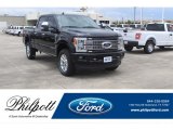 2019 Ford F250 Super Duty Platinum Crew Cab 4x4