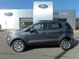 2019 Smoke Metallic Ford EcoSport SE 4WD #135347852