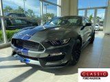 2019 Magnetic Ford Mustang Shelby GT350 #135347841
