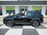 2019 Midnight Black Metallic Toyota RAV4 Adventure AWD #135412428